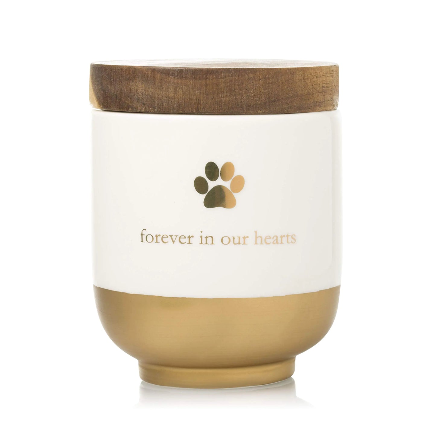 Pearhead Pet Ceramic Forever in Our Hearts Urn Pet Memorial Dog Or Cat Keepsake Urn Rainbow Bridge Gold