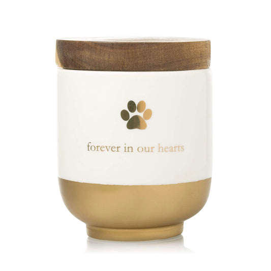 Pearhead Pet Ceramic Forever in Our Hearts Urn Pet Memorial Dog Or Cat Keepsake Urn Rainbow Bridge Gold