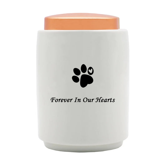 Pet Memorial Urns for Dog or Cat AshesCeramic Funeral Pet Cremation Urns Dog/Cat Ashes Keepsake-Loss Pet Memorial Remembrance Gift (Paw Print)